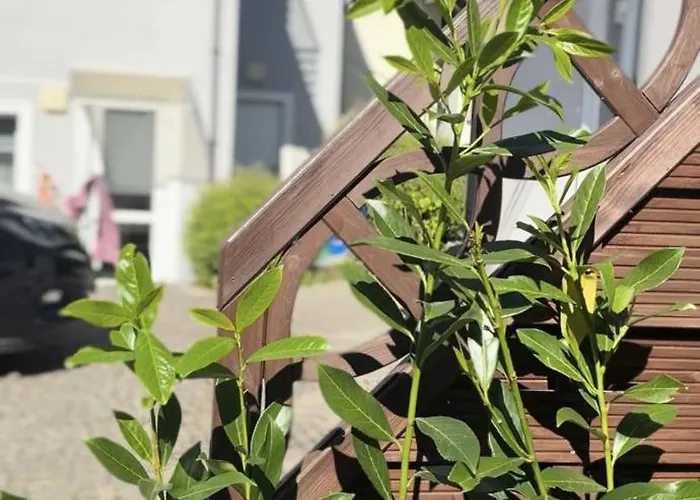 Dom Gościnny Roma 3* Rewal